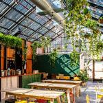 Evil Twin Brewing NYC