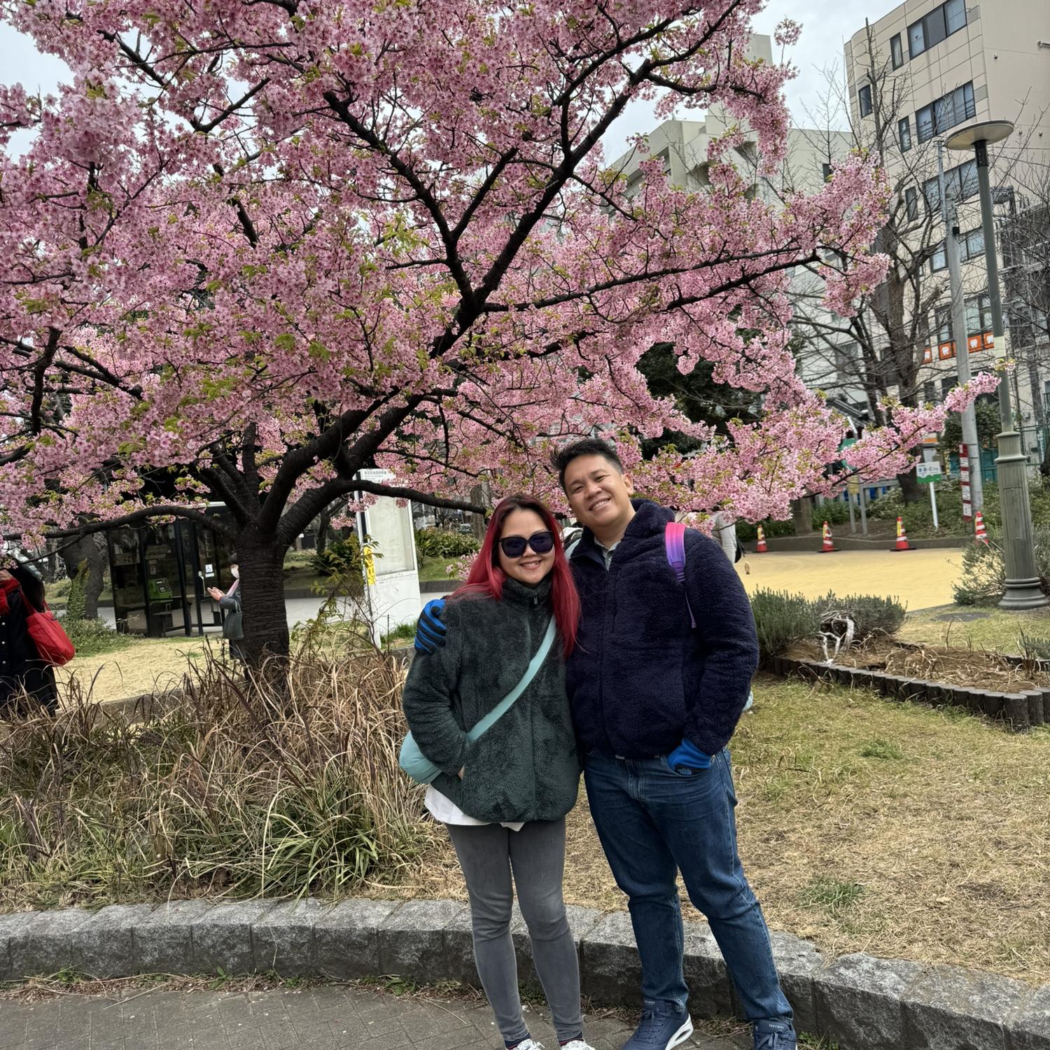 Cherry blossoms from Tokyo, Japan