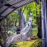 Wilderness Run Alpine Coaster