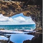 Animal Flower Cave