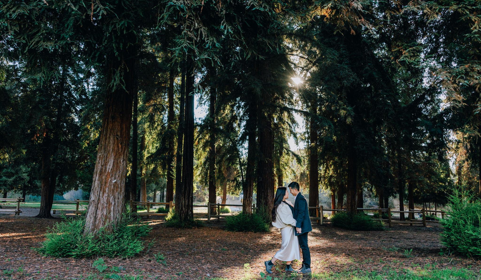 Hero Slideshow Image 2