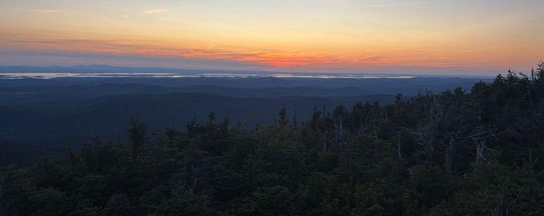 The Wedding Website of Soren Herron Donisvitch and Asha Dimatteo-Lepape