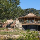 Omaha's Henry Doorly Zoo and Aquarium