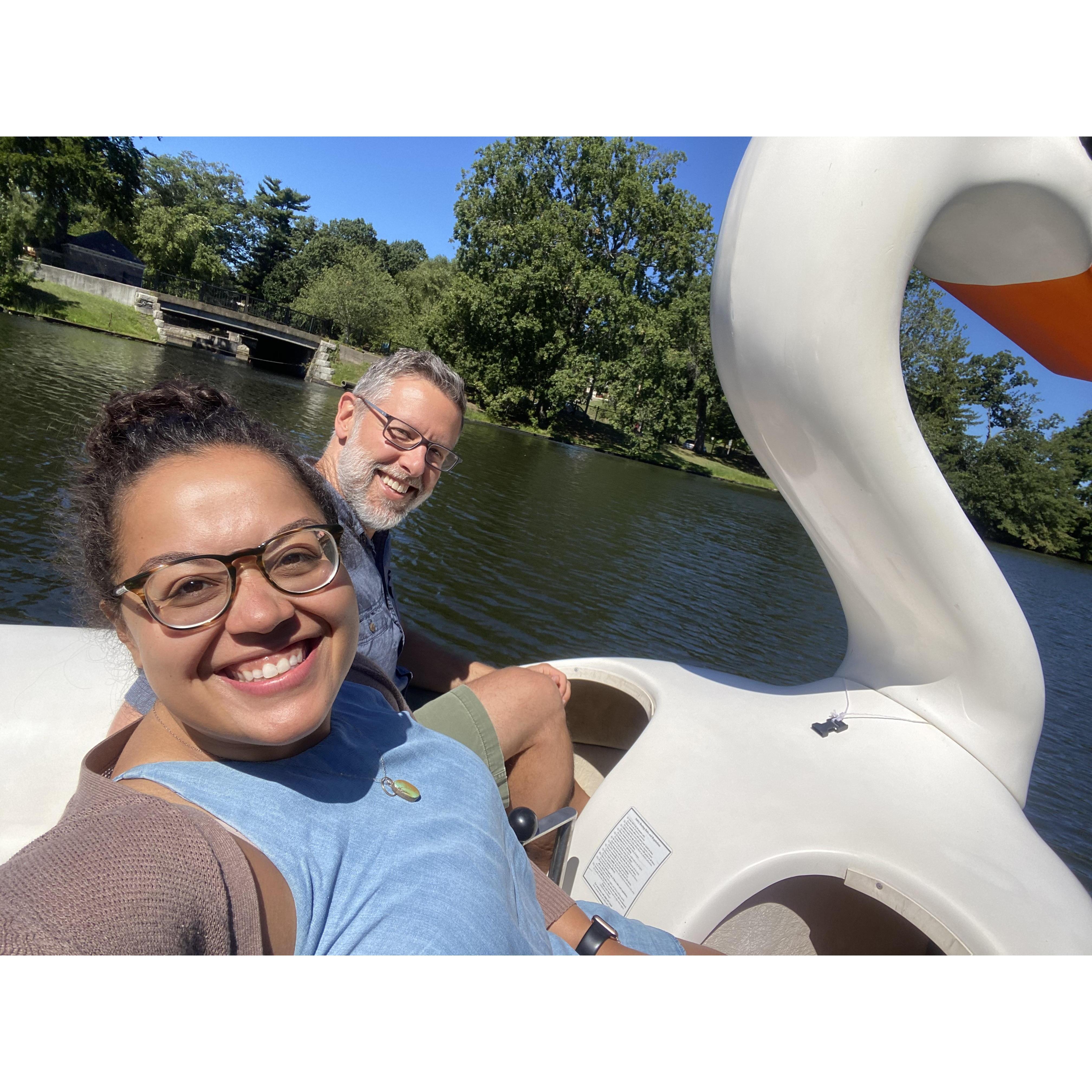 Paddleboat swans in Providence