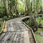 Barataria Preserve Visitor Center
