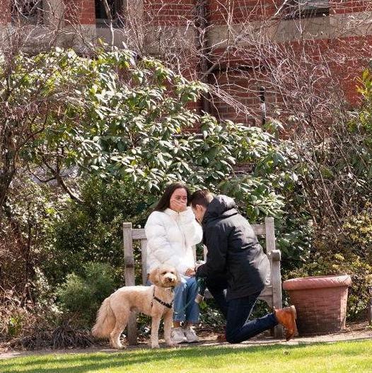Surprise engagement at the Jefferson Market Garden