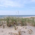 Cooper’s Beach