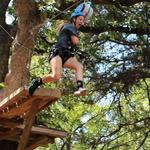 Trinity Forest Adventure Park