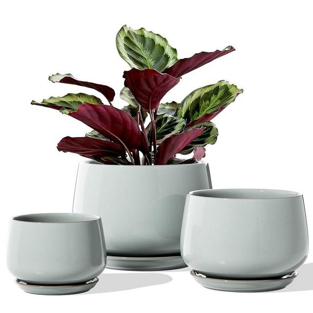 LE TAUCI Plant Pots for Indoor Plants, 4.1+5.1+6.5 inch, Set of 3, Ceramic Planters with Drainage Hole and Saucer, Indoor Flower Pot with Hole Mesh Pad, Gifts for Mom, Reactive Glaze Blue Gray