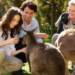Healesville Sanctuary (Near Yarra Valley)