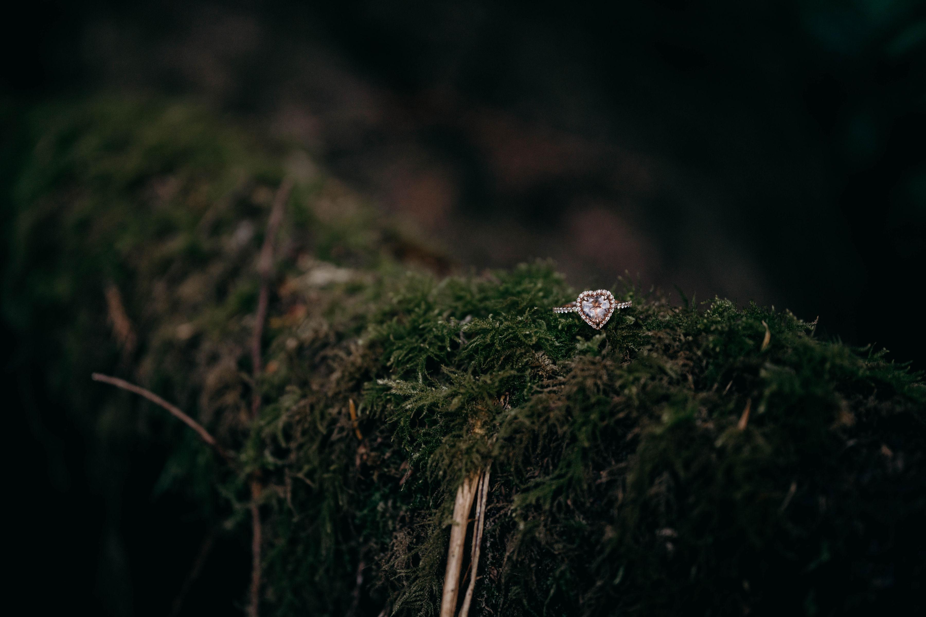 The Wedding Website of Holly Hunter and Michael Perrine