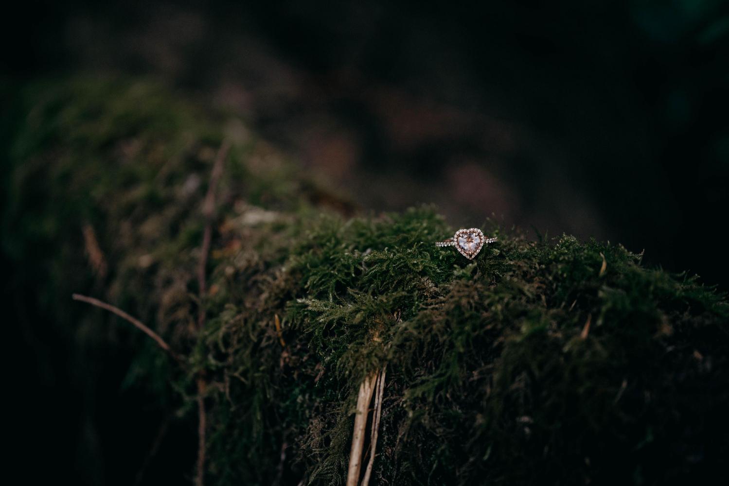 The Wedding Website of Holly Hunter and Michael Perrine