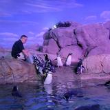 John Ball Zoo