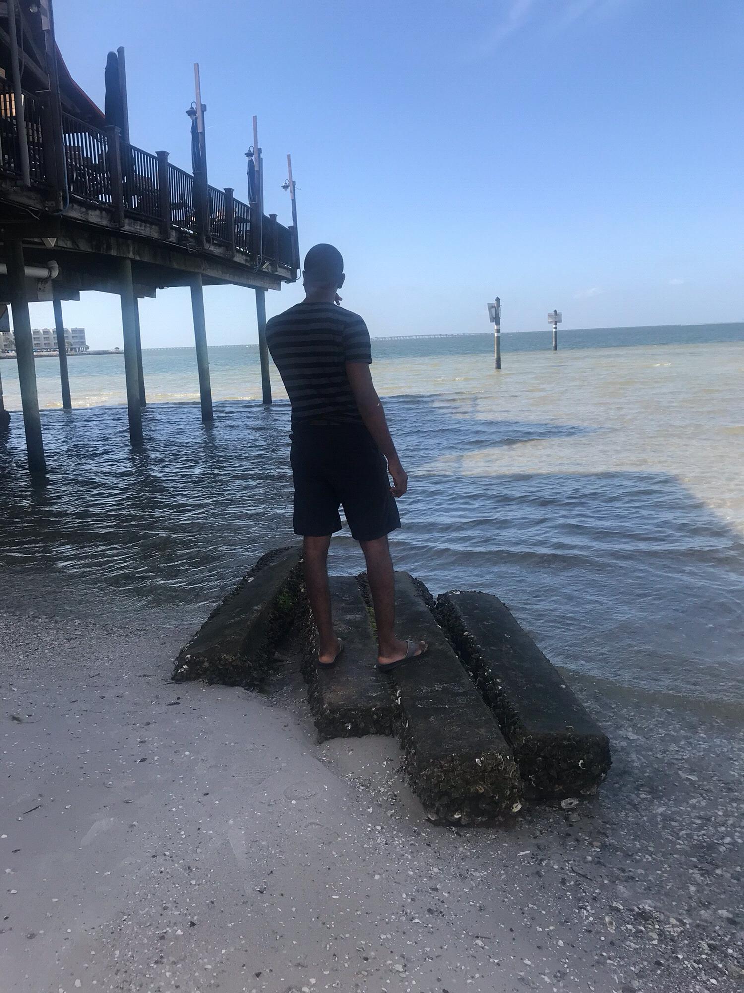 Tampa, FL.