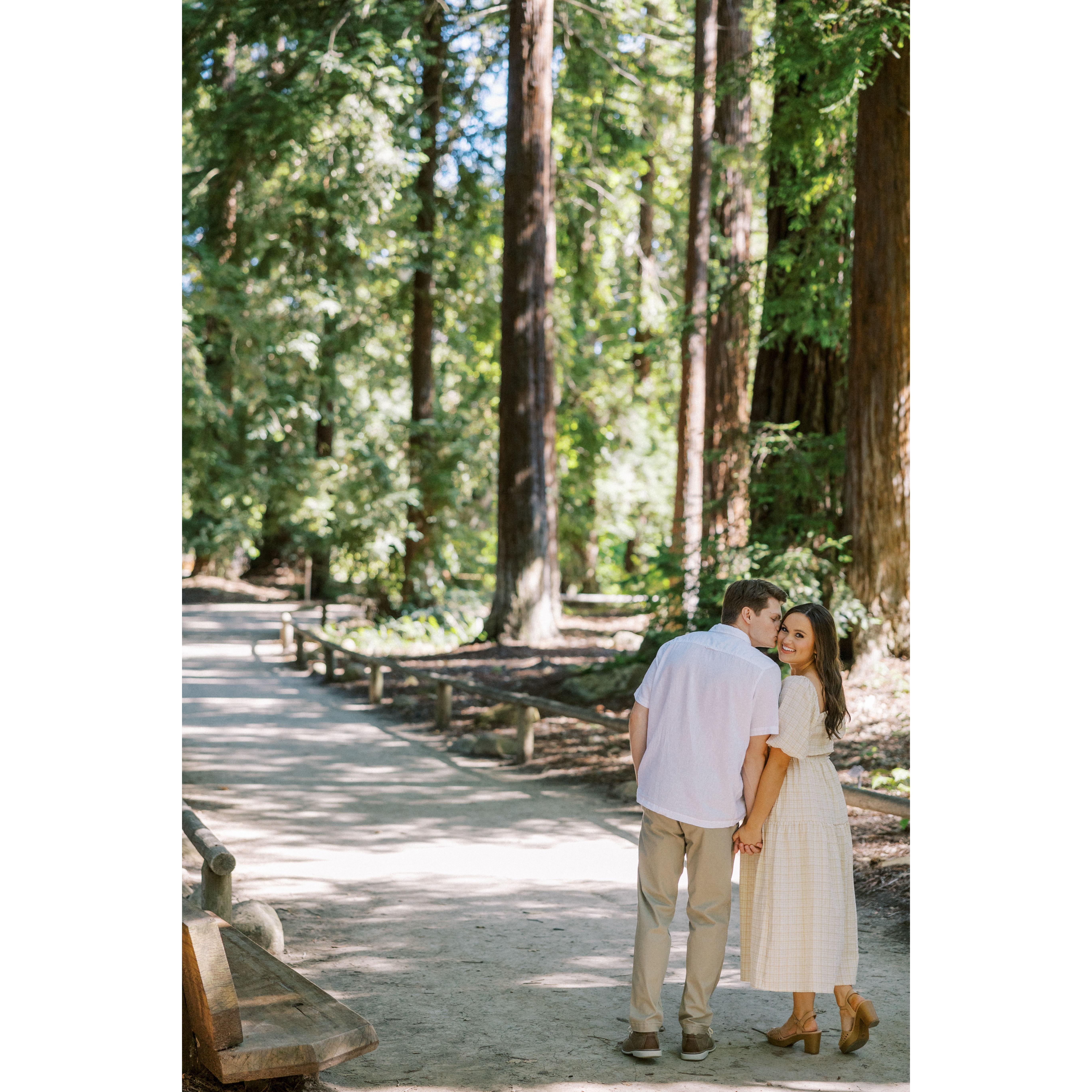 Engagement Photo