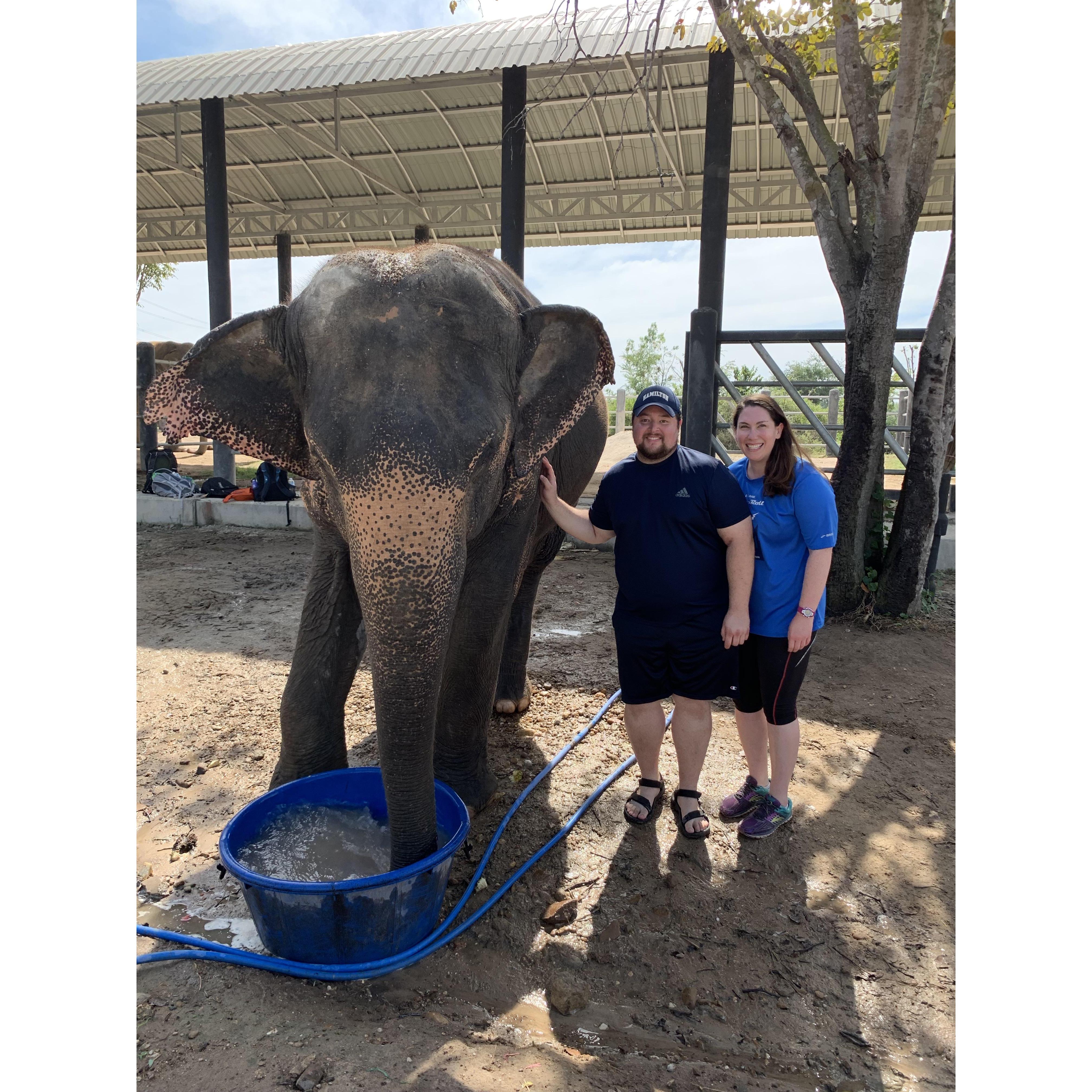 Bathing an elephant at a wildlife sanctuary in Thailand