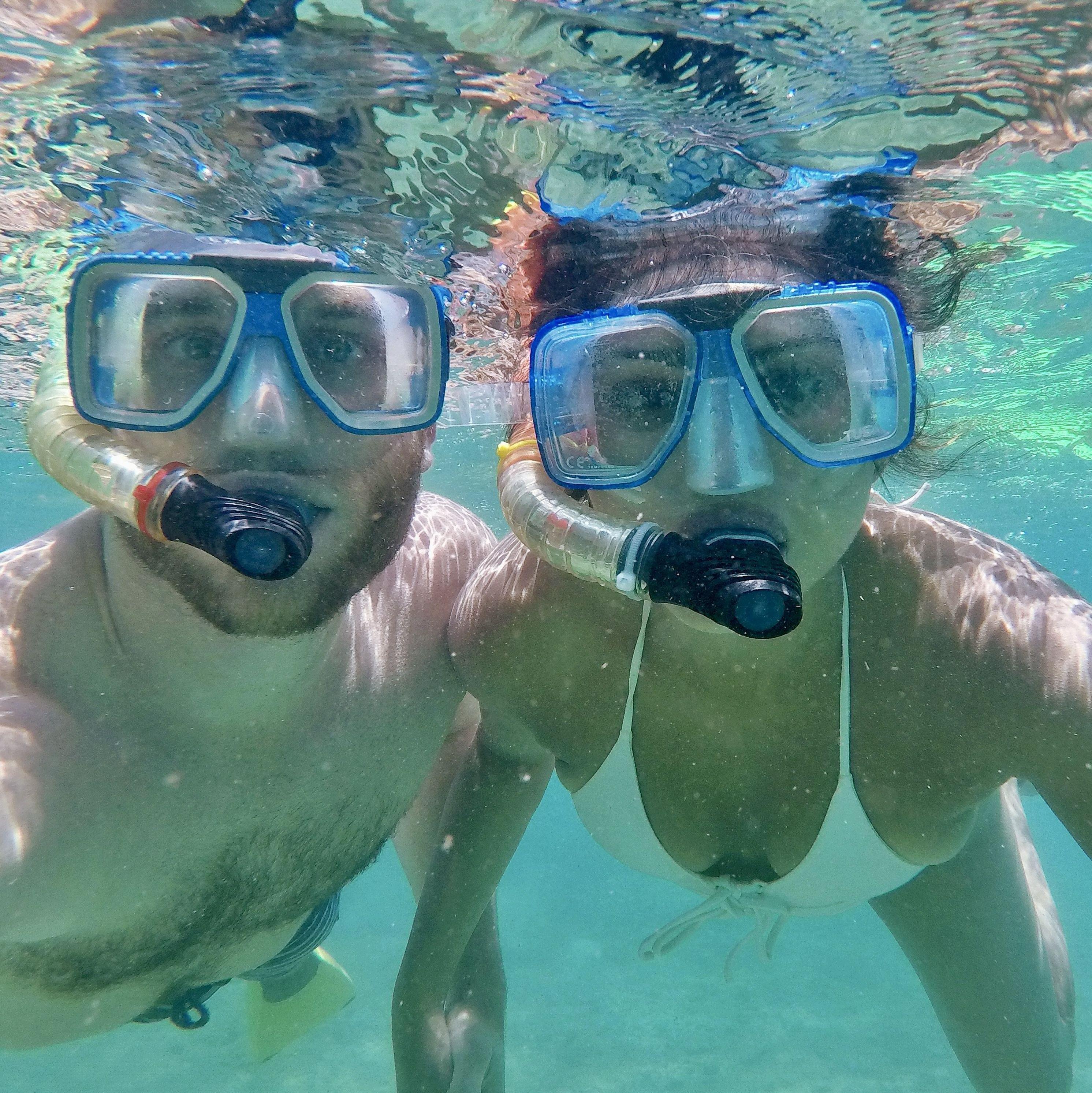 Snorkeling in the Great Barrier Reef