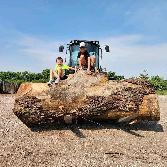 Boys had field trip to the log yard