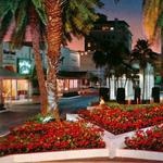 Lincoln Road