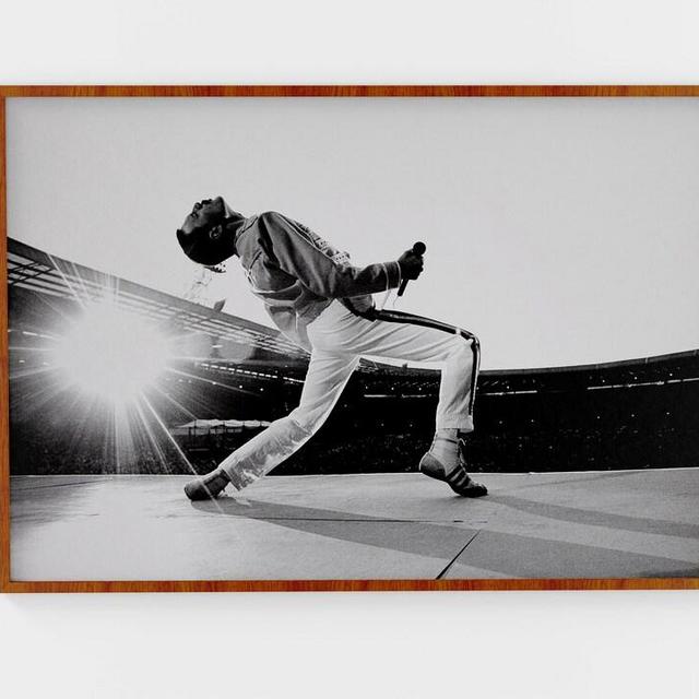 Freddie Mercury Singer Musician Canvas Poster Premium | Canvas High Quality Wall Art Decor/Home Living Decoration POSTER or CANVAS READY