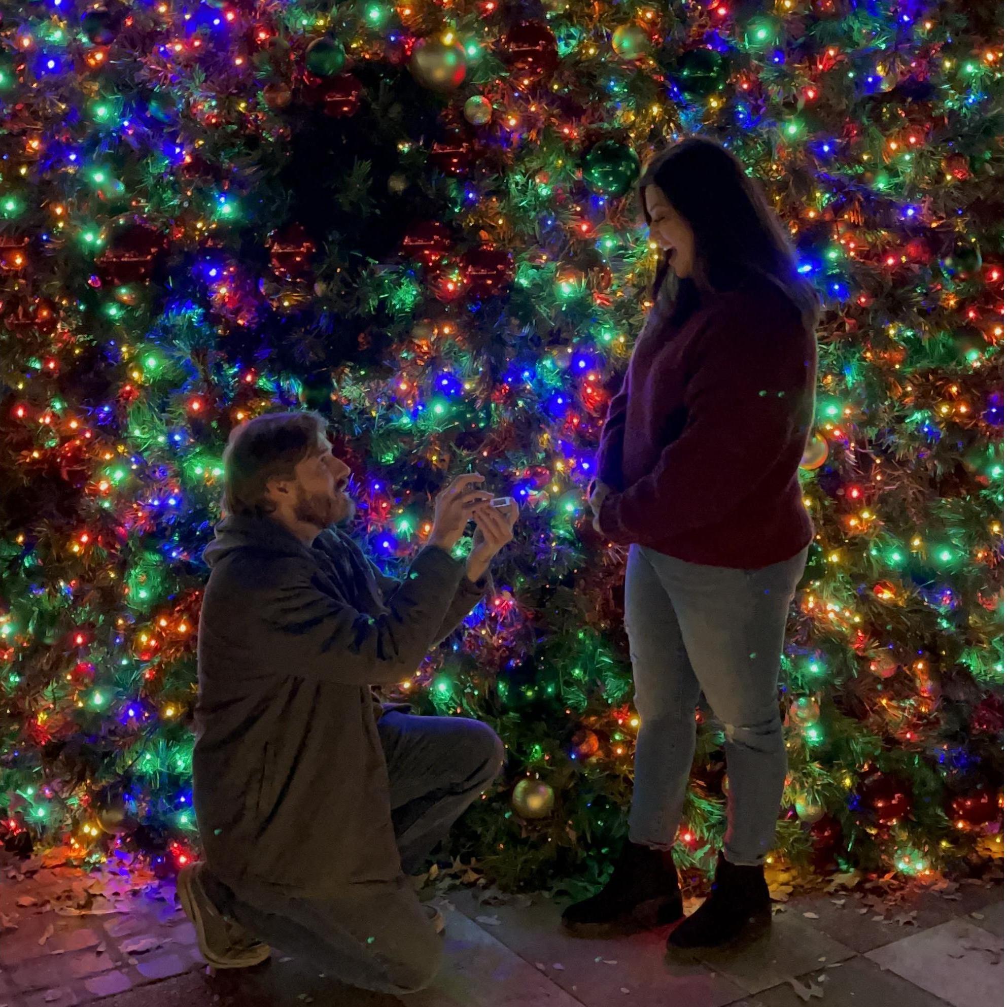 A Christmas proposal.

Una propuesta navideña.