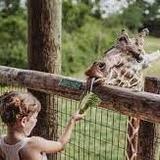 Fort Wayne Zoo