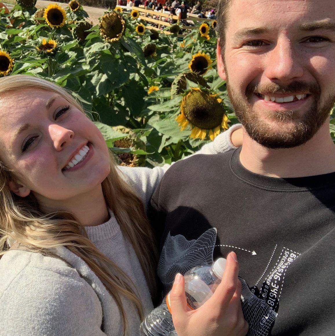 Sunflower field at Vala's pumpkin patch