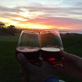 Carmel Valley Wineries