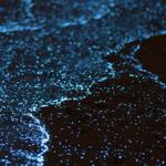 Mosquito bay vieques Puerto Rico