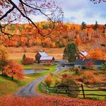Billings Farm
