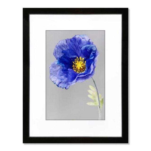VNVNK 18x24 Frame Black Picture Frame-1 PCS, Perfect for 18x24 Inch Picture without Mat or 16x20 Inch Picture with Mat, Home Wall Decor Picture Frame