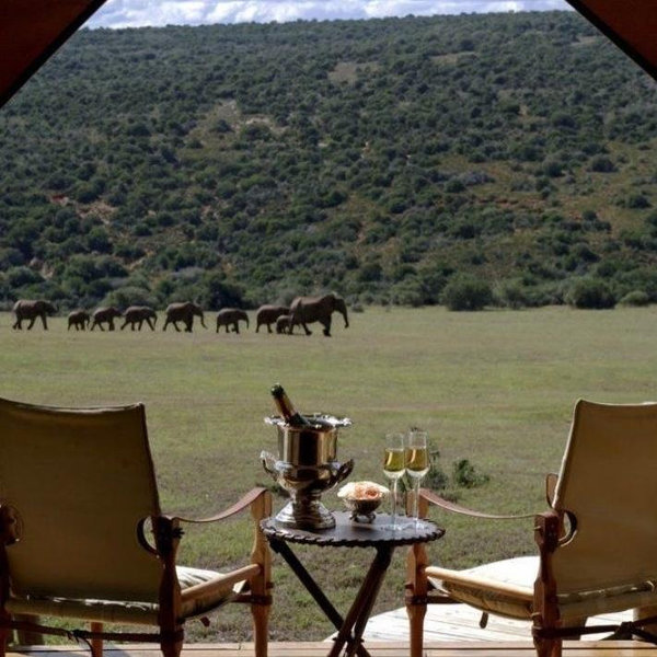 Honeymoon Resort
