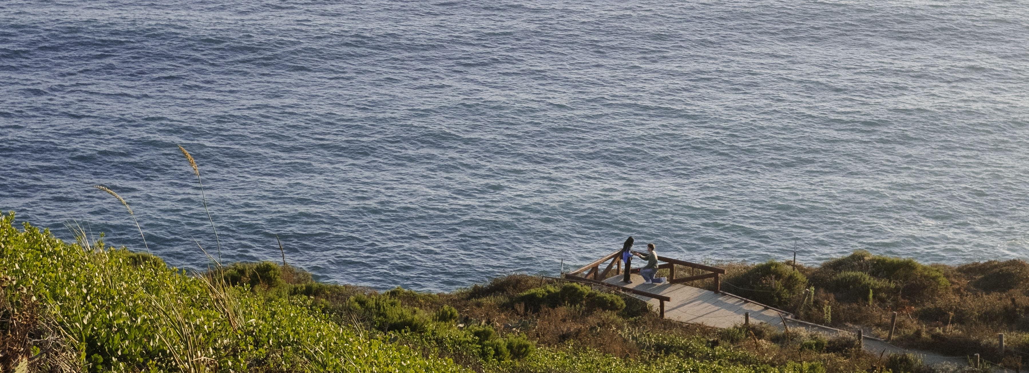 The Wedding Website of Fiona Ho and Trevor Kniaz