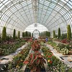 Como Park Zoo & Conservatory