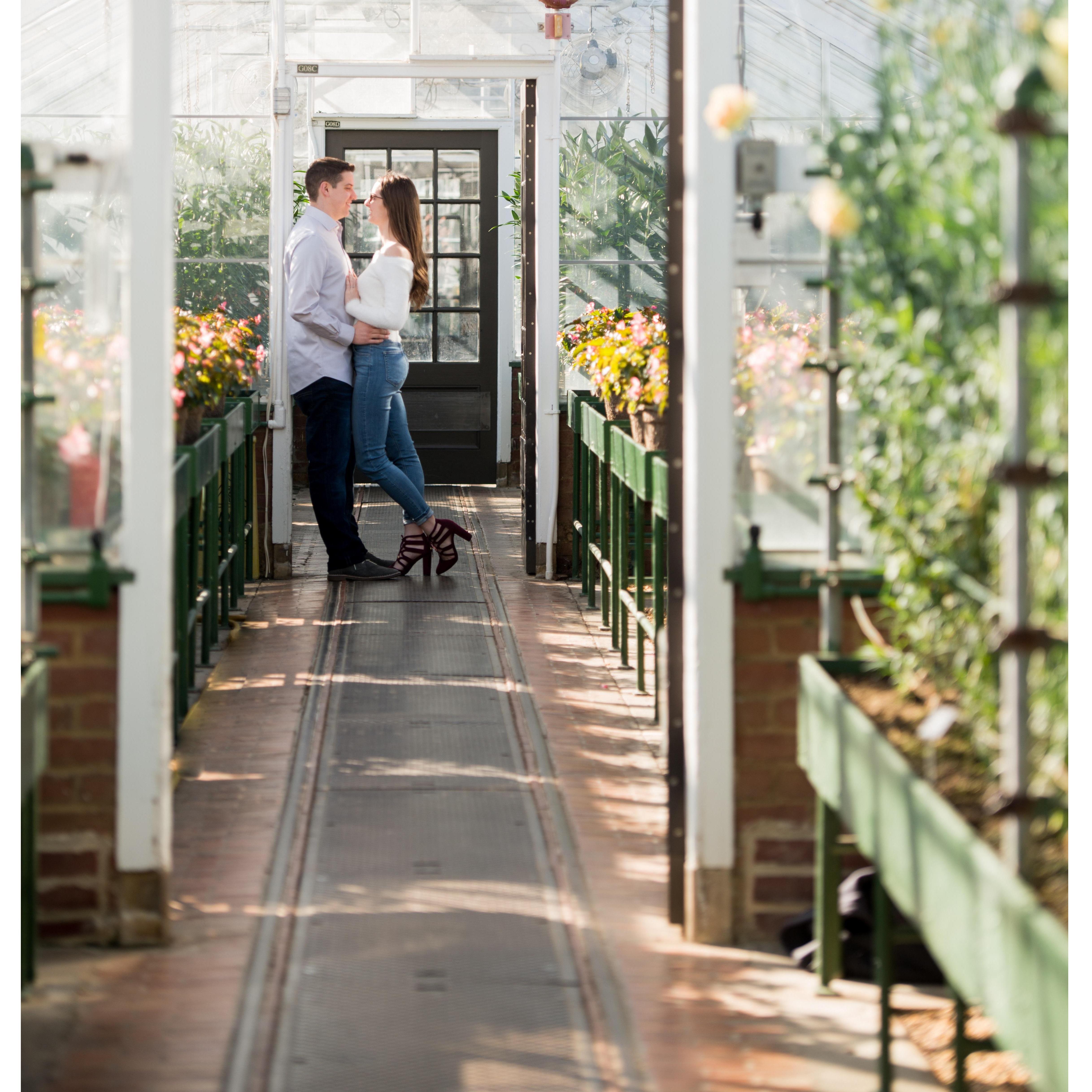 Engagement Shoot @ Longwood Gardens