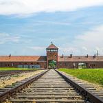 Auschwitz II-Birkenau