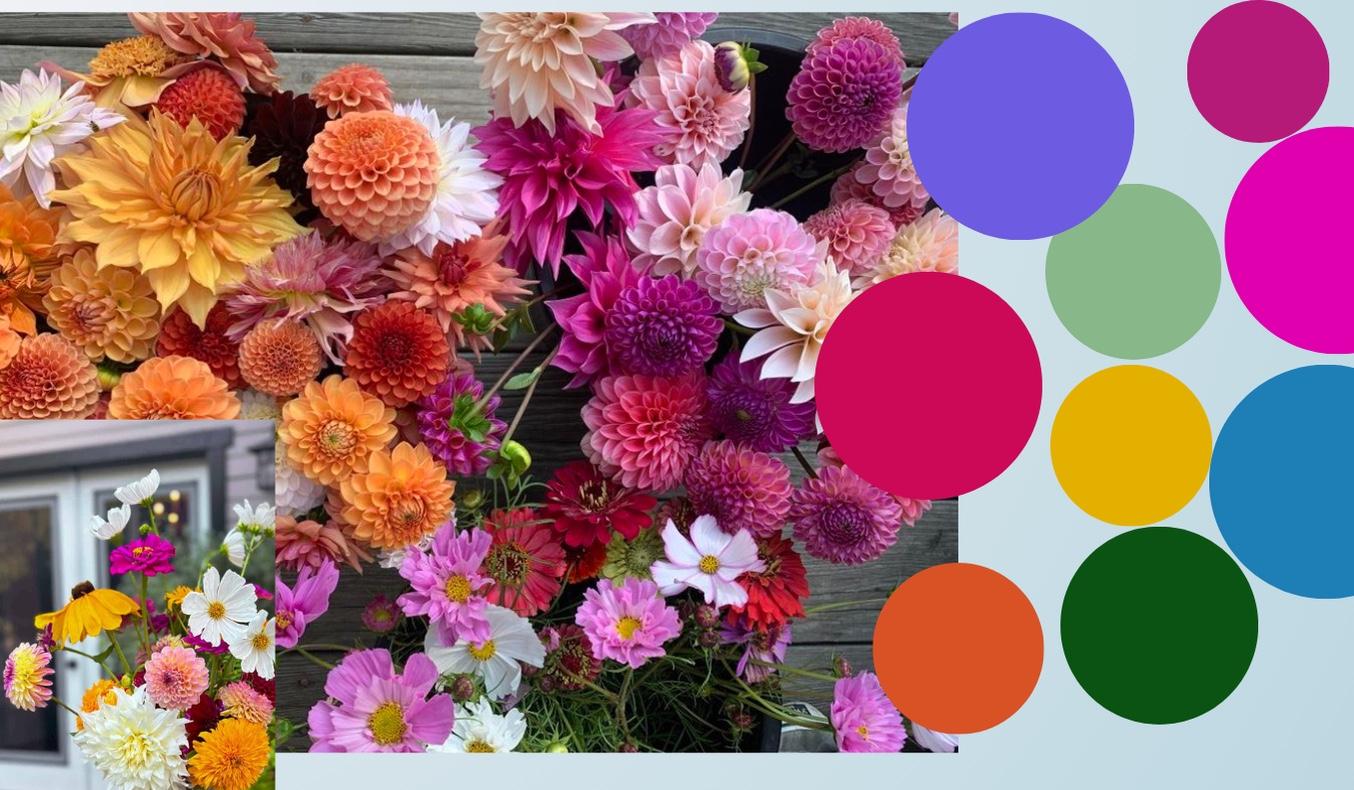 The Wedding Website of Dena Hangaard and Jeremy Thweatt