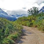 Jonkershoek Nature Reserve (Child friendly)