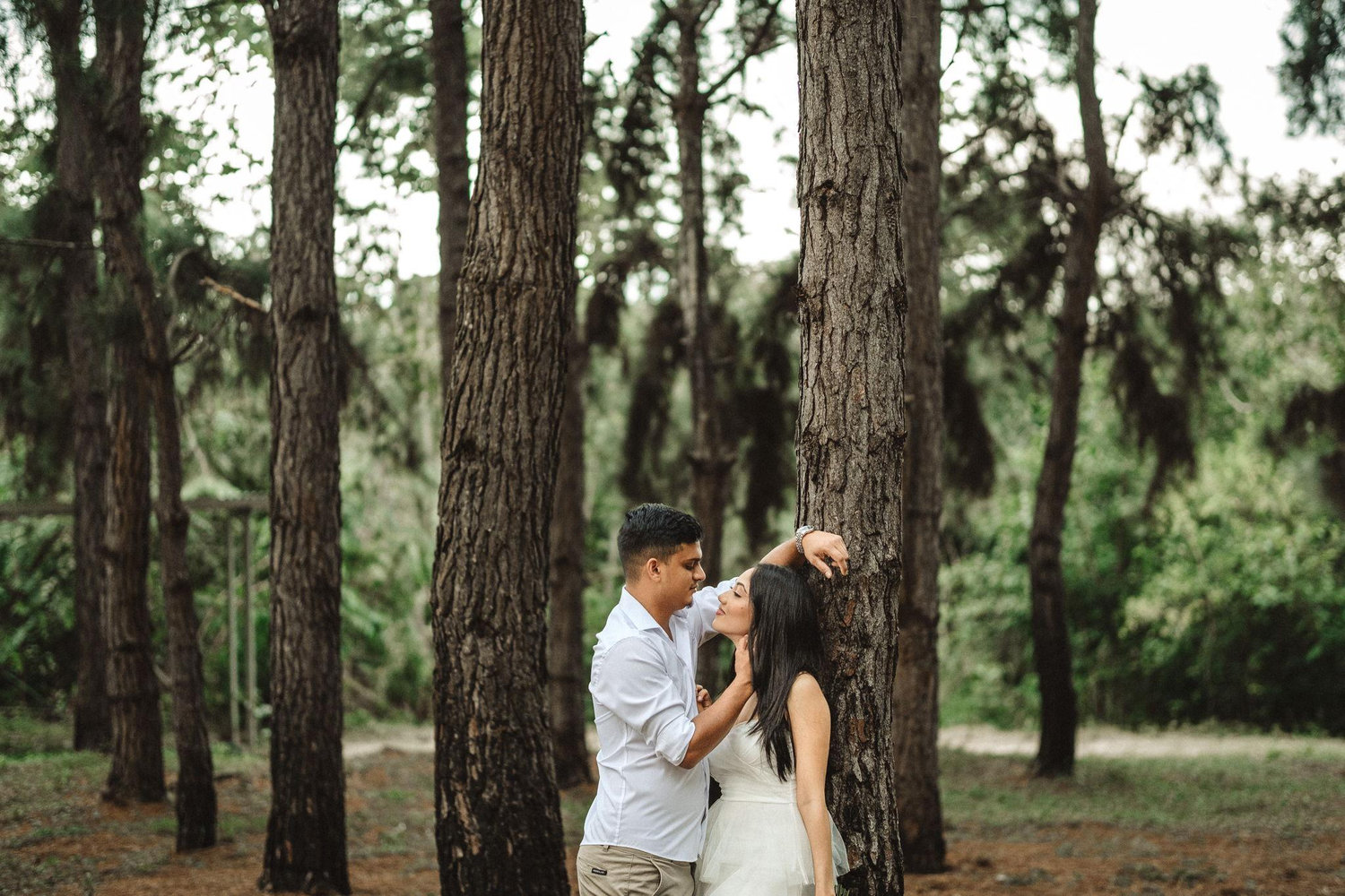 The Wedding Website of Aleah Mohammed and Govin Seepersad