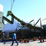 Container Park