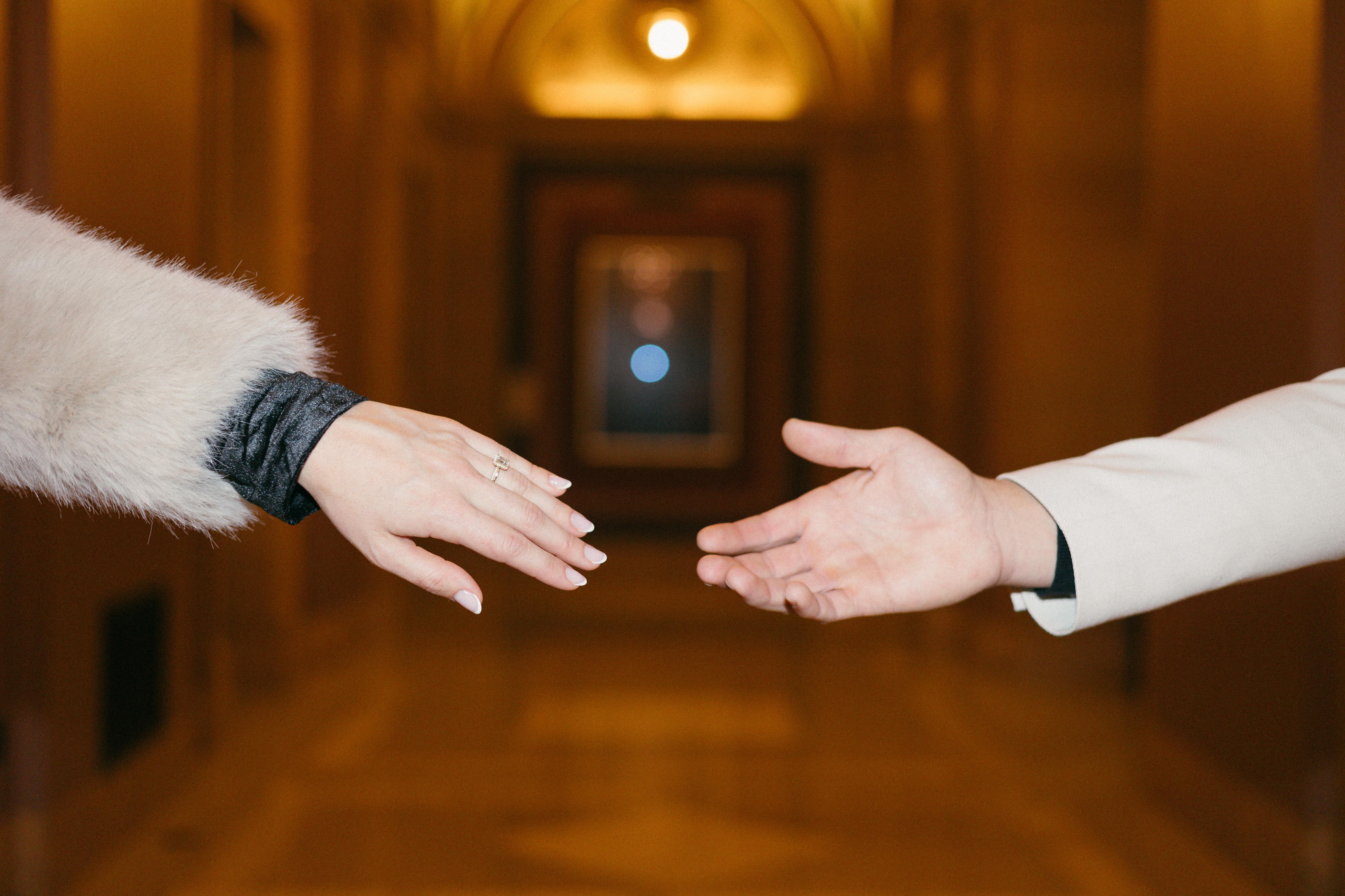 The Wedding Website of Anna Konopelkin and David Petrashov