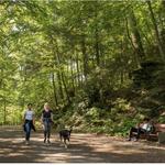 Take a Hike at Wissahickon Valley Park