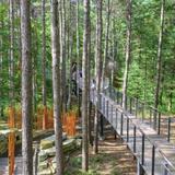 Whiting Forest Canopy Walk