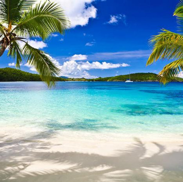 Honeymoon 🌴