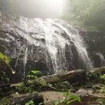 Glen Burney Falls Trail