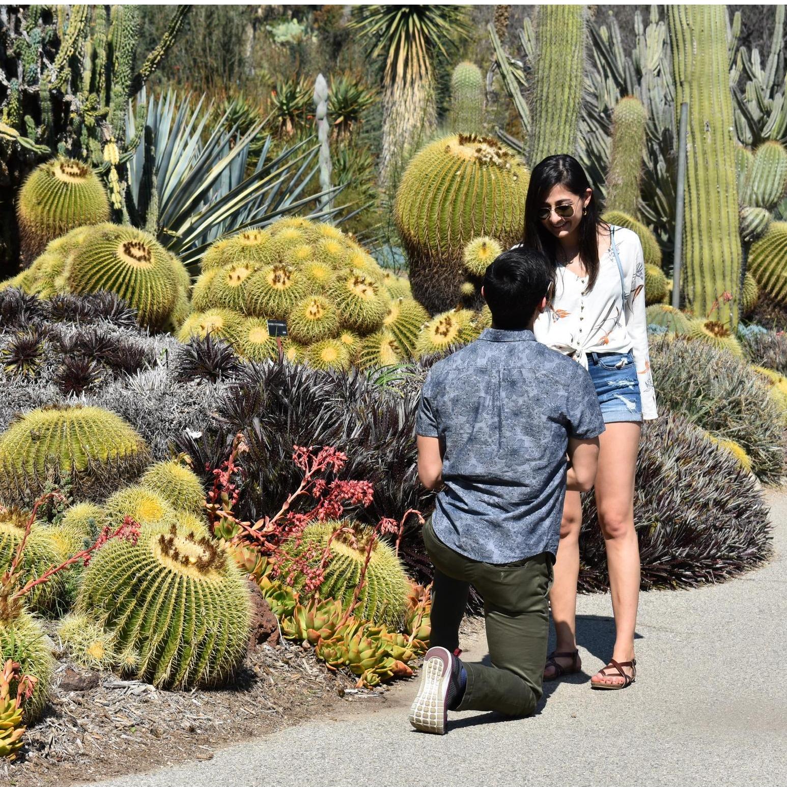 Proposal :)