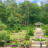 Sarah P. Duke Gardens