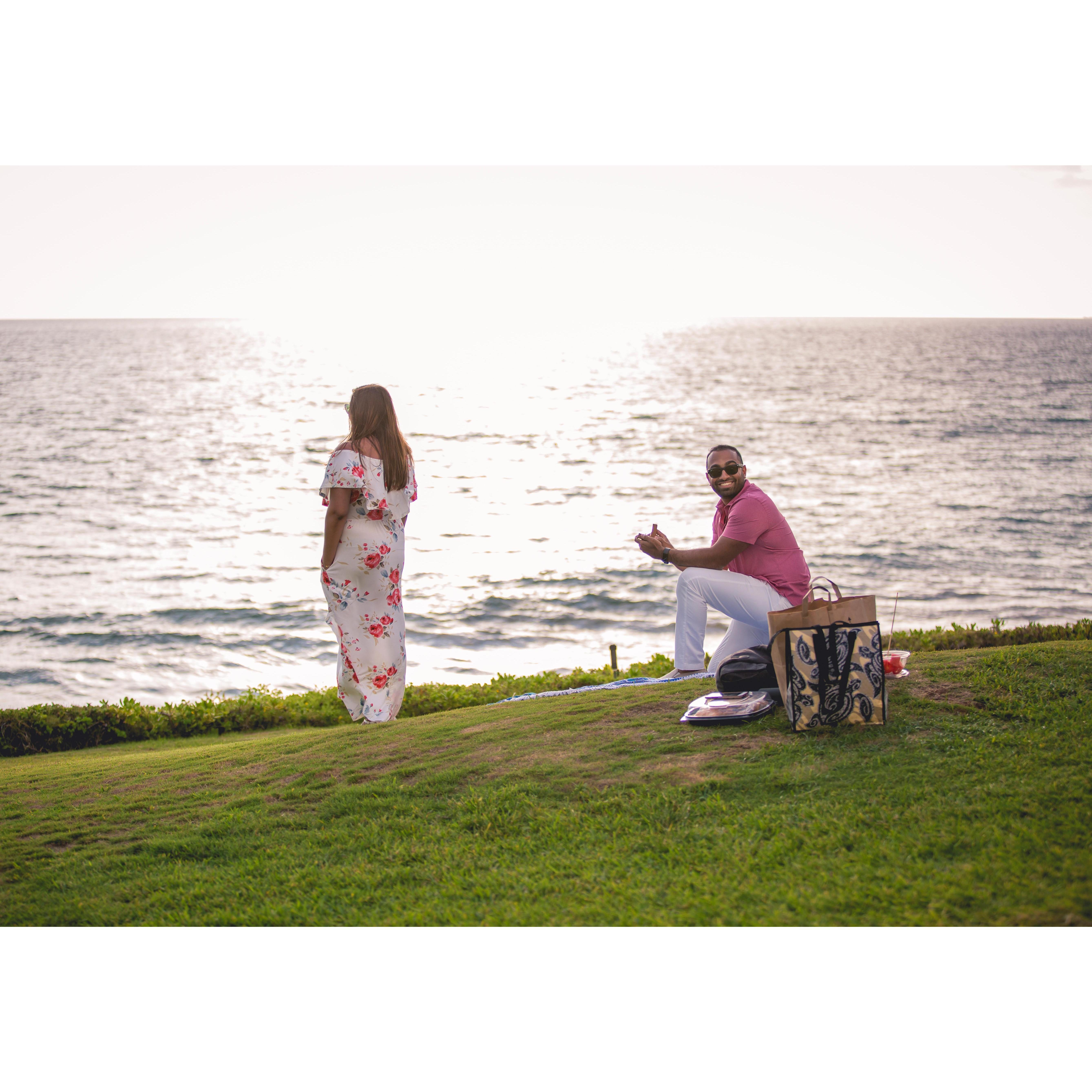 Hawaii Proposal <3, 2019