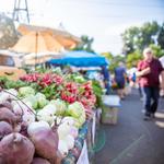 Missoula Farmers' Market