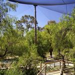 Wagga Wagga Zoo & Aviary
